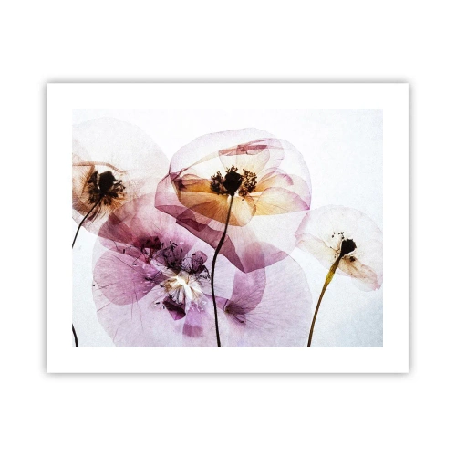 Poster - Transparante lichaamsbloemen - 50x40 cm