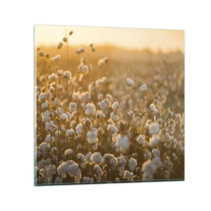 Schilderen op glas - Pluizig veld - 70x70 cm