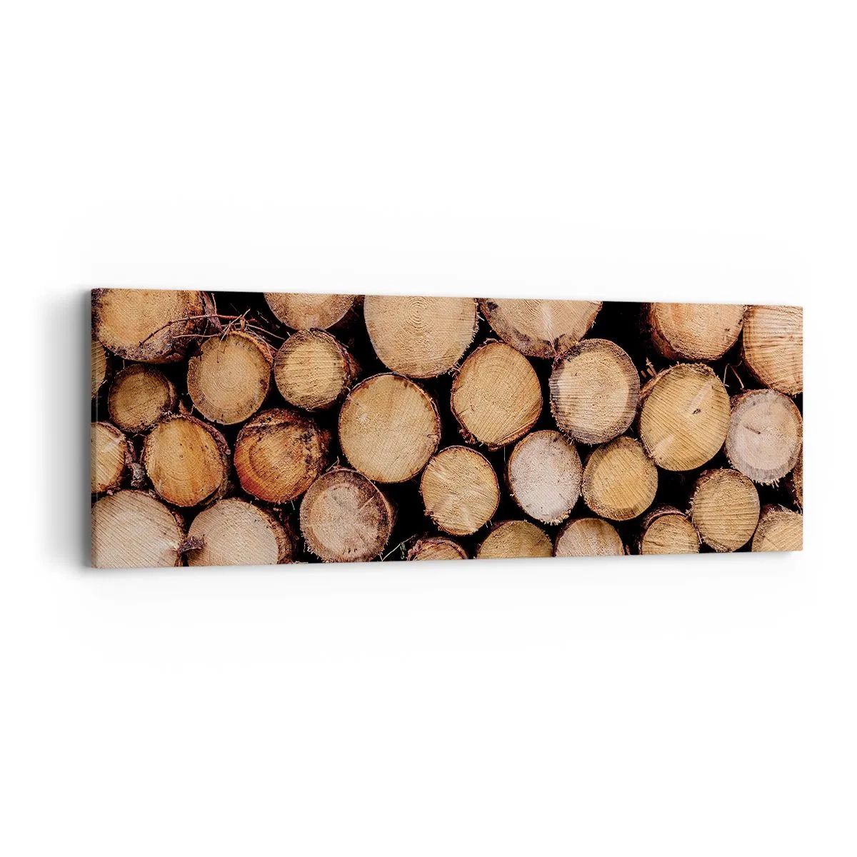 Schilderen op canvas - Een nieuw begin - 90x30 cm