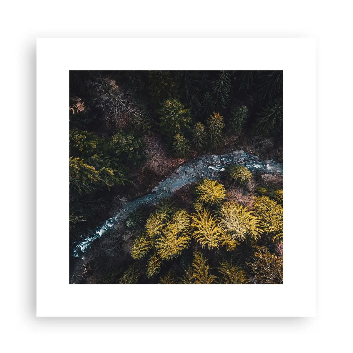 Poster - Snel, sneller en sneller - 30x30 cm