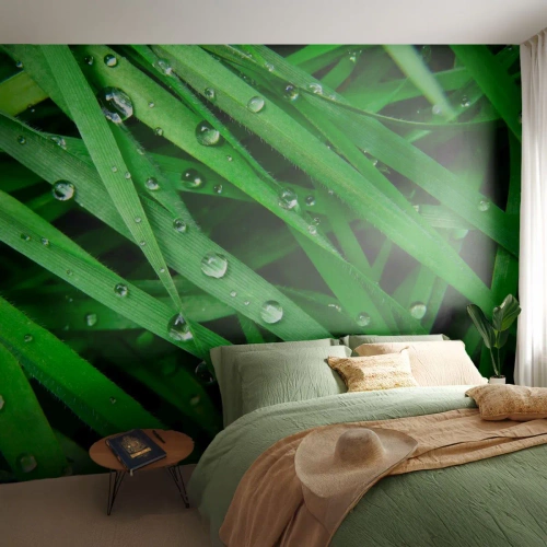 Fotobehang Premium Sand - Speel groen - Natuur, Groen gras, Tuin - 400x280 cm