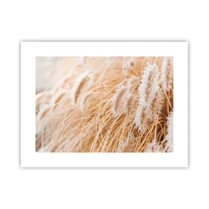 Poster - Het gouden geritsel van het gras - 40x30 cm