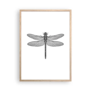 Een poster in een licht eiken lijst - Precisie van de natuur - 50x70 cm
