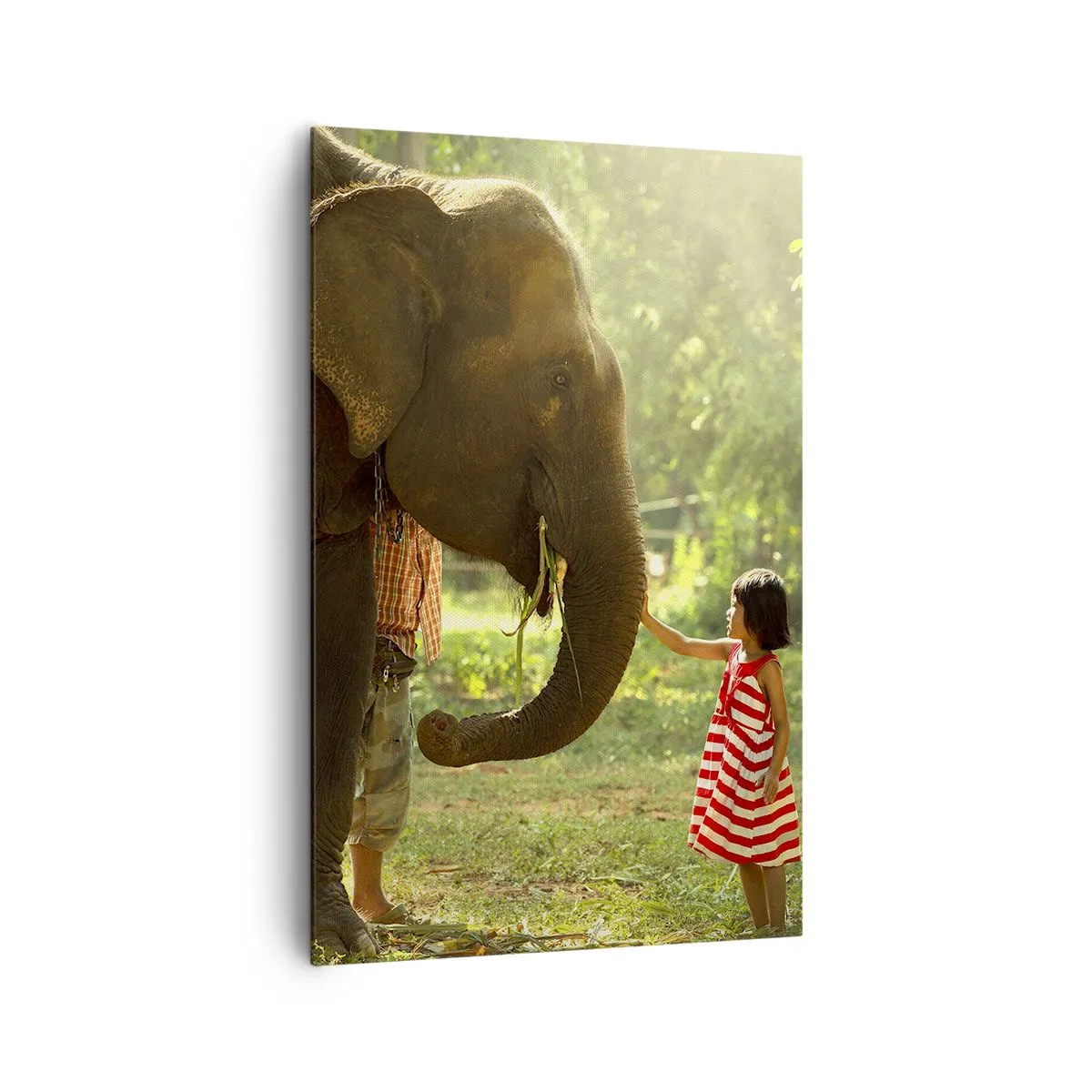 Schilderen op canvas - De kracht van vriendschap - 80x120 cm