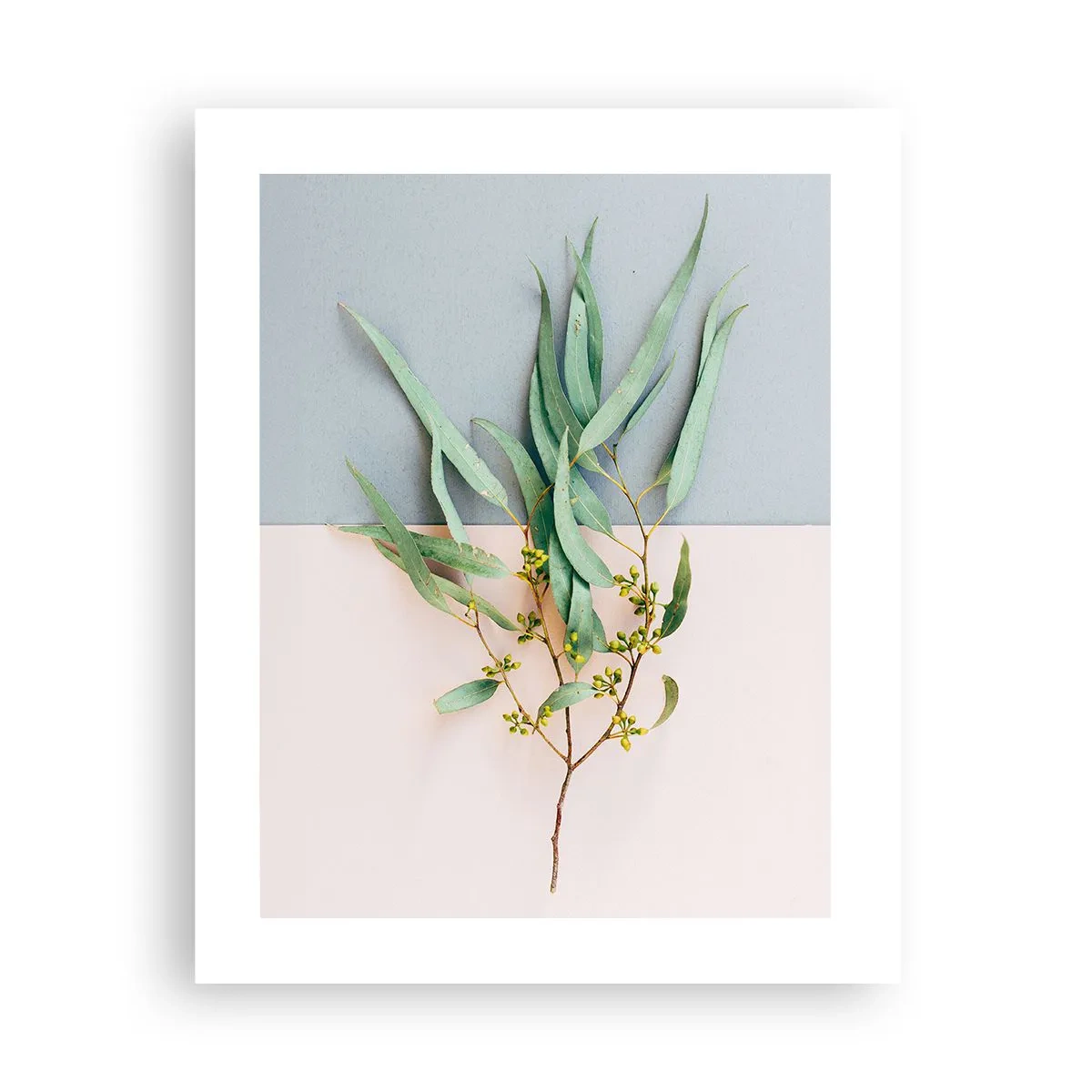 Poster - Subtiliteit in pastelkleuren - 40x50 cm