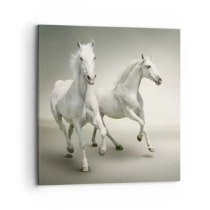 Schilderen op canvas - White power! - 70x70 cm