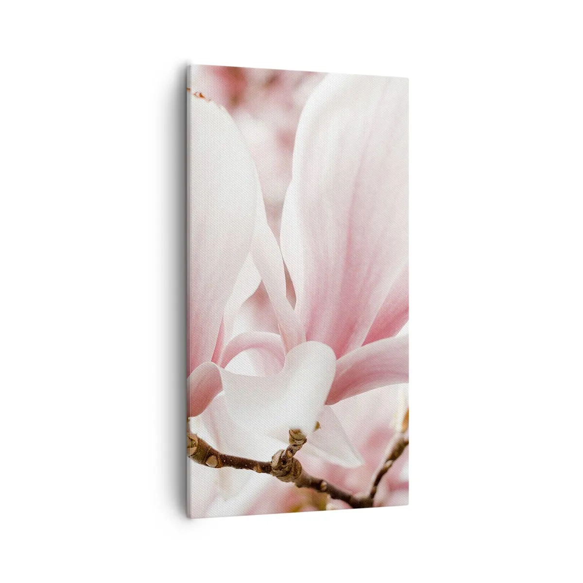 Schilderen op canvas - Een overvloed aan tederheid - 55x100 cm