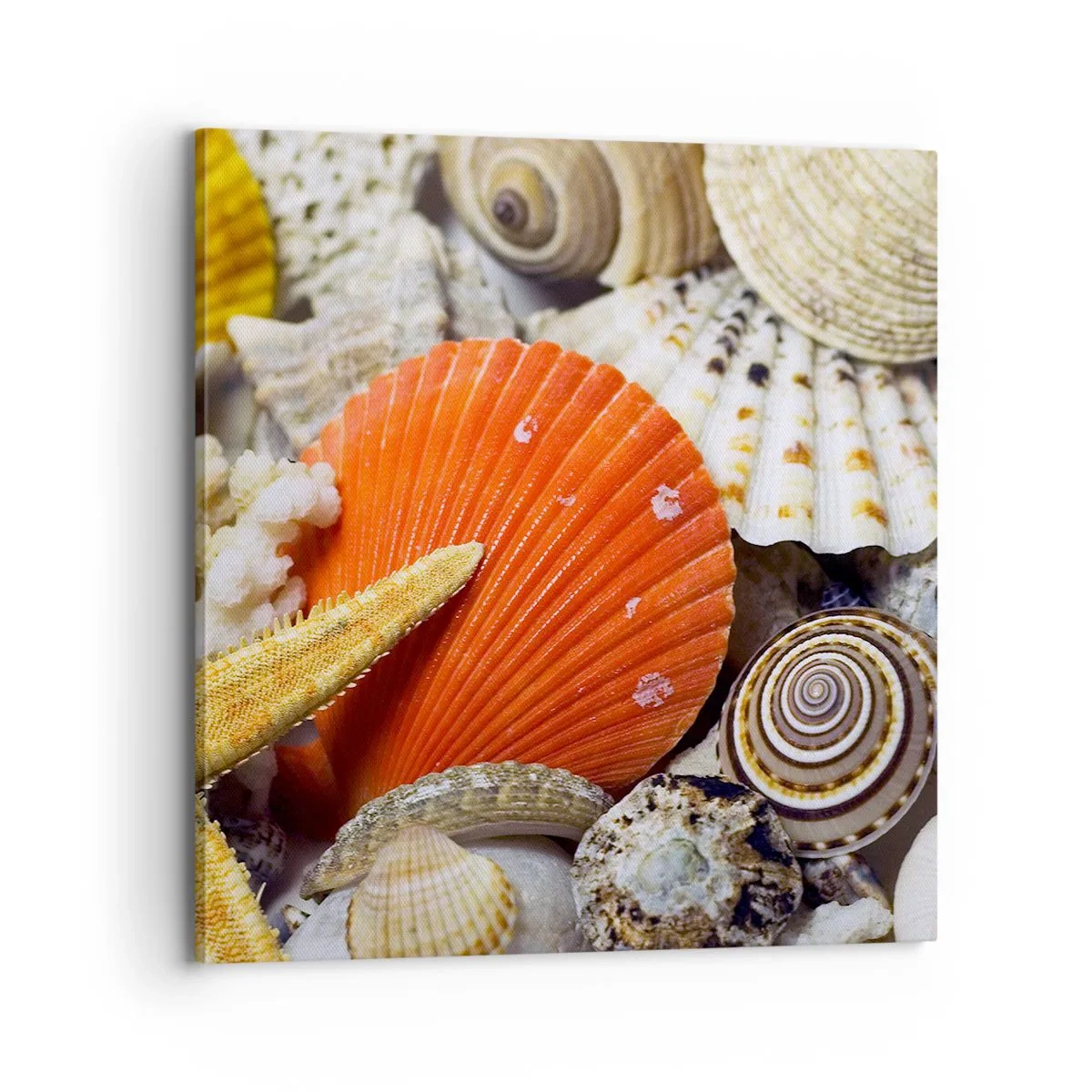 Schilderen op canvas - Oceaan schatten - 70x70 cm