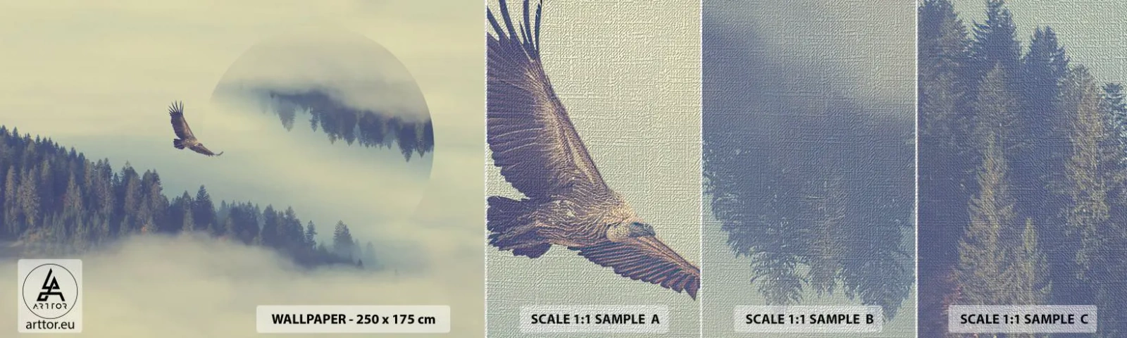 Fotobehang Monster Premium Canvas - Ik zag de schaduw van een adelaar - Adelaar, Vogel, Woud - 100x30 cm