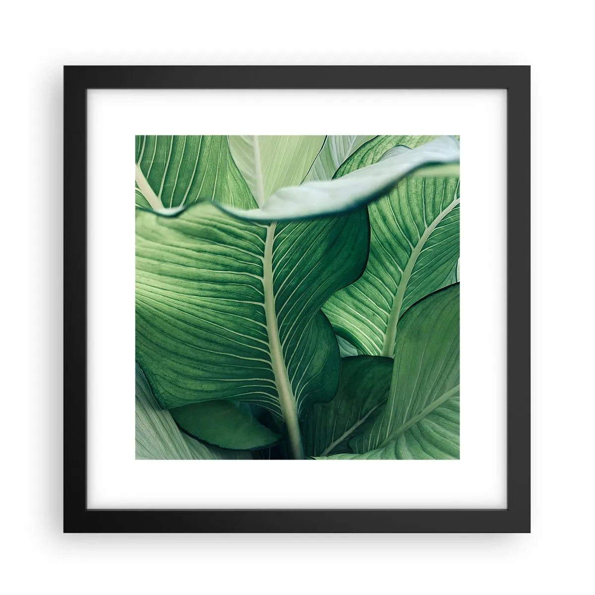 Poster in een zwarte lijst - Intens groen leven - 30x30 cm