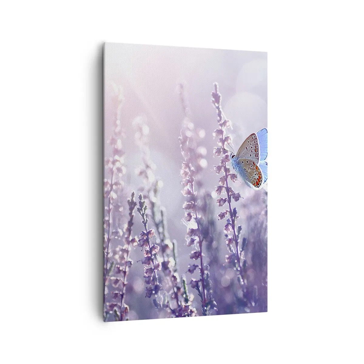 Schilderen op canvas - Vlinder kus - 80x120 cm