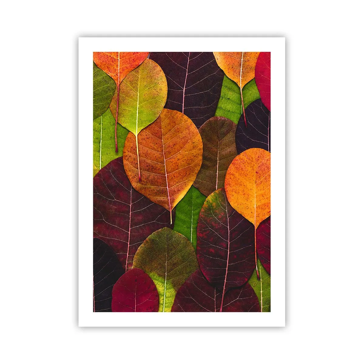 Poster - Herfst mozaïek - 50x70 cm
