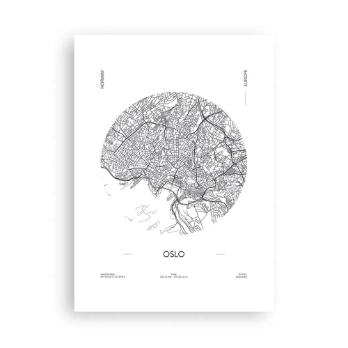 Poster - Anatomie van Oslo - 50x70 cm