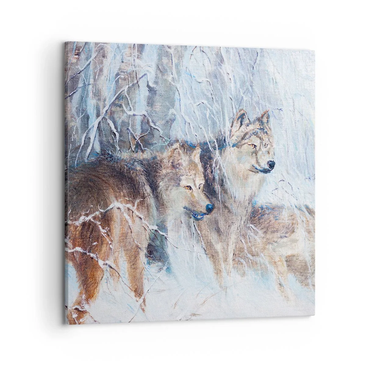 Schilderen op canvas - Aandacht! Hier komt ... - 50x50 cm