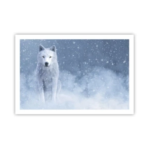 Poster - In winterse sferen - 91x61 cm