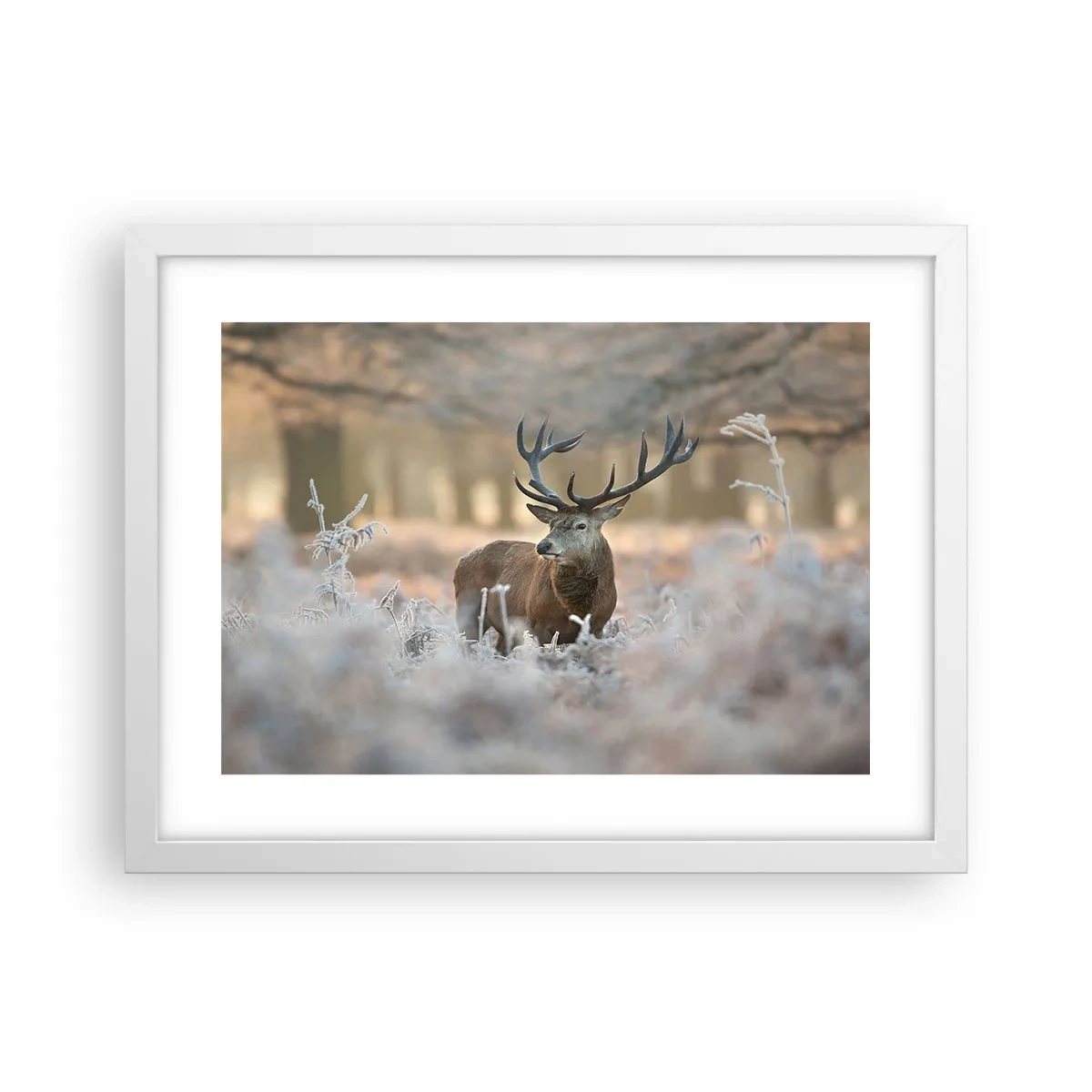 Poster in een witte lijst - Een frisse ochtend - 40x30 cm