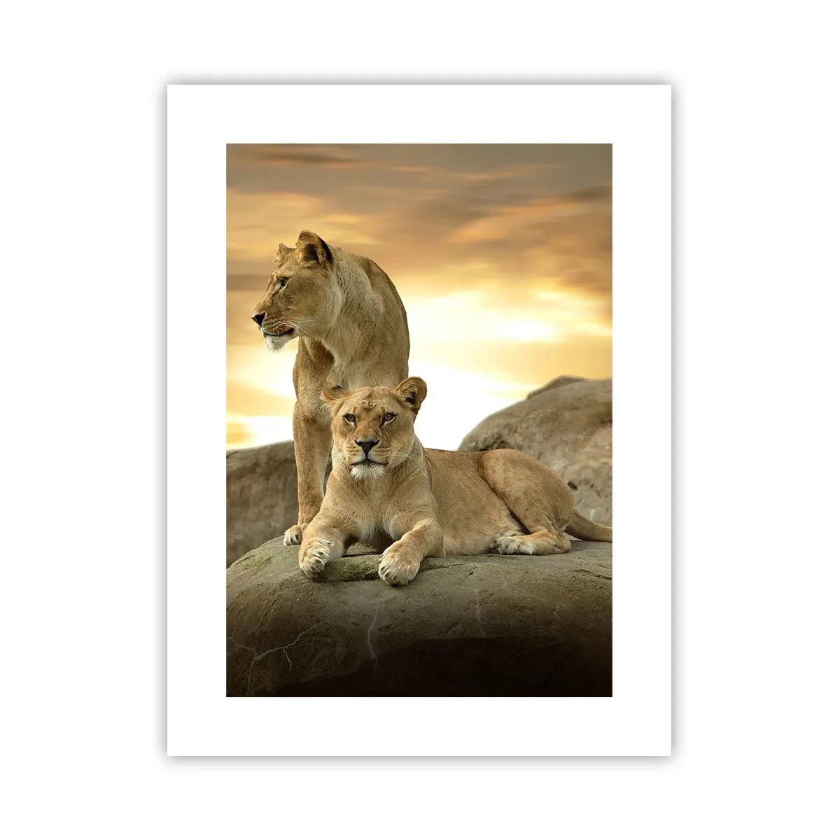 Poster - Koninklijke majesteit - 30x40 cm