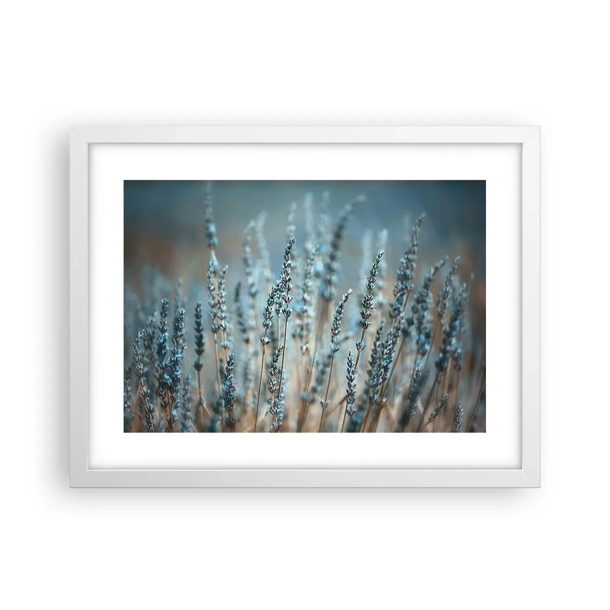 Poster in een witte lijst - Geurig korenveld - 40x30 cm