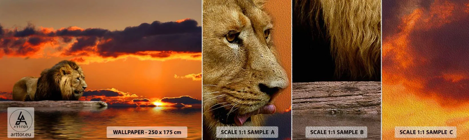 Fotobehang Monster Premium Sand - Koning van de natuur - Leeuw, Zonsondergang, Dieren - 100x30 cm