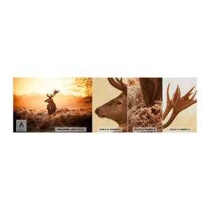 Fotobehang Monster Premium Sand - Heer van het landgoed - Landschap, Hert, Dieren - 100x30 cm
