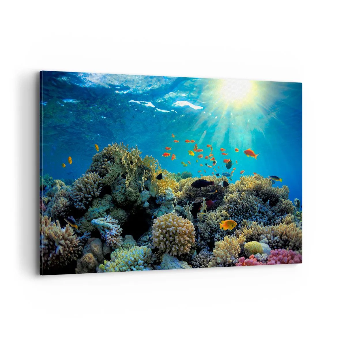 Schilderen op canvas - Onderwater schatten - 120x80 cm