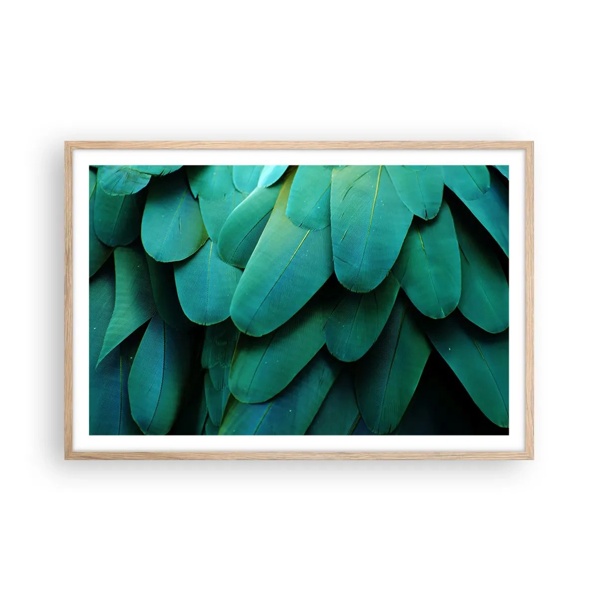 Een poster in een licht eiken lijst - Papegaaiachtige precisie - 91x61 cm