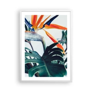 Poster in een witte lijst - Vogelstruik - 50x70 cm