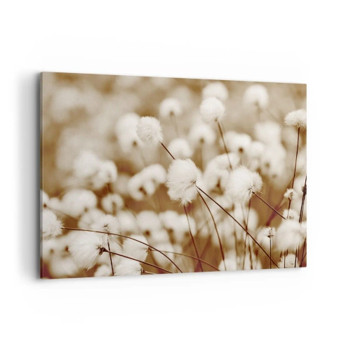 Schilderen op canvas - Pluizig korenveld - 100x70 cm