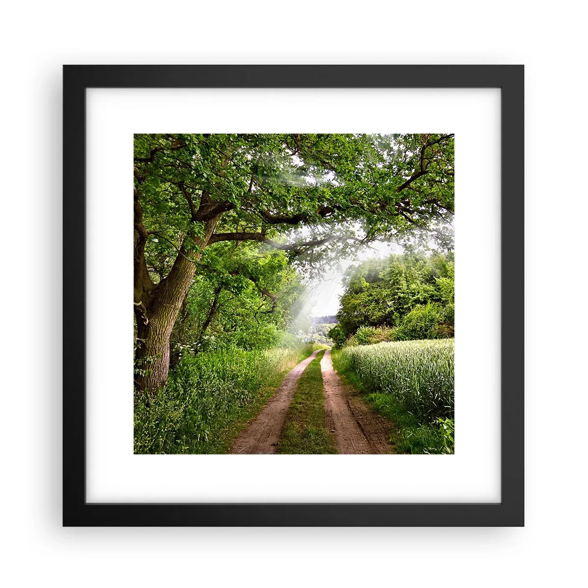 Poster in een zwarte lijst - Et in Arcadia ego - 30x30 cm