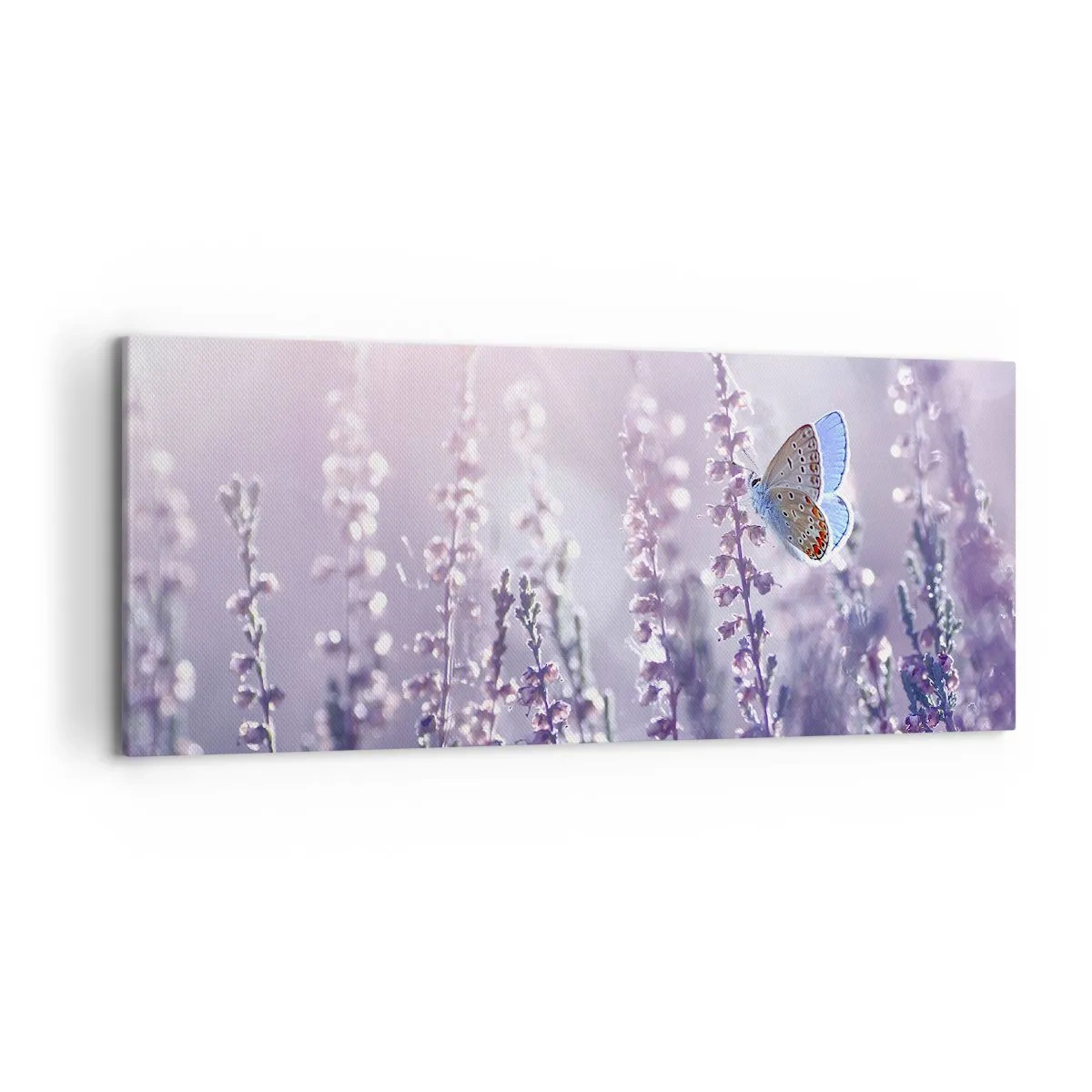 Schilderen op canvas - Vlinder kus - 120x50 cm