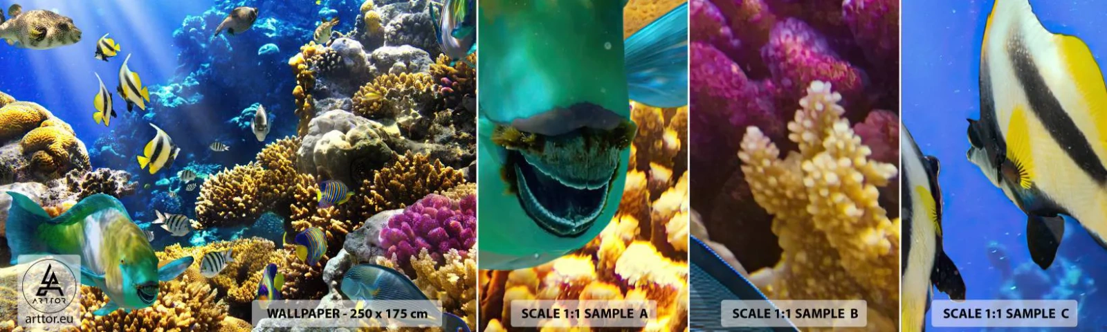 Fotobehang Monster Zelfklevend Deluxe Sticker - Veel verkeer op de vakantieroute - koraalrif, Oceaan, Vis - 100x30 cm