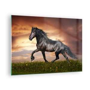 Schilderen op glas - Een zwart paard galoppeert tegen de ondergaande zon - 70x50cm - Zwarte Prins - Moderne wanddecoratie voor woonkamer en slaapkamer ARTTOR