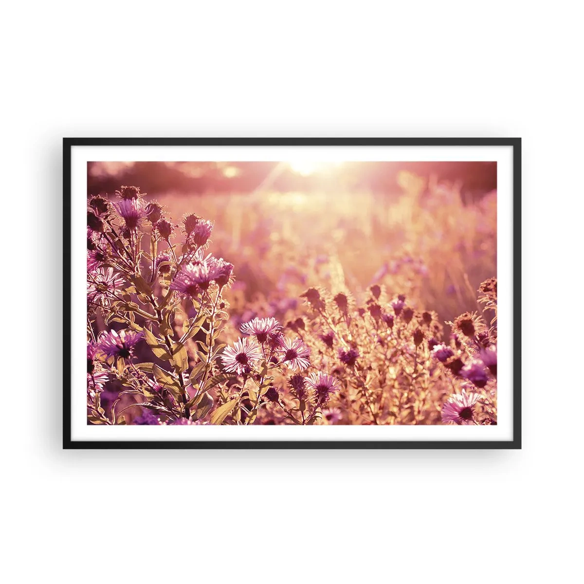 Poster in een zwarte lijst - Voordat de zomer voorbij is - 91x61 cm