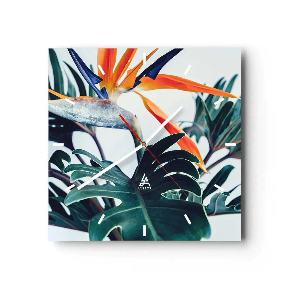 Wandklok - Klok - Vogelstruik - 40x40 cm