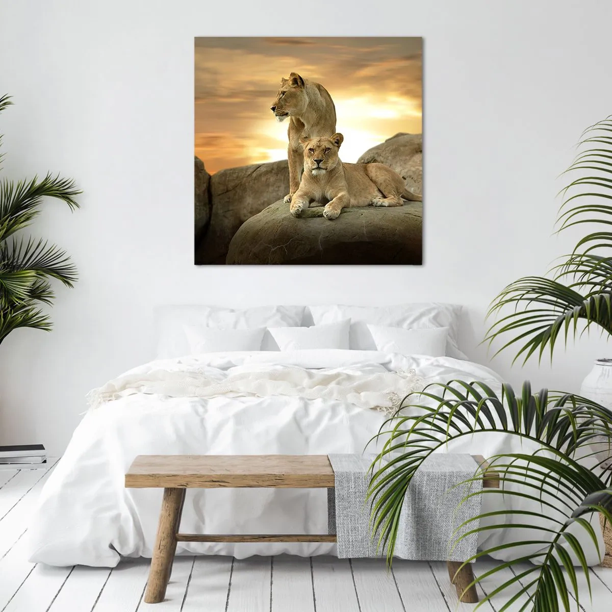 Schilderen op canvas - Koninklijke majesteit - 70x70 cm