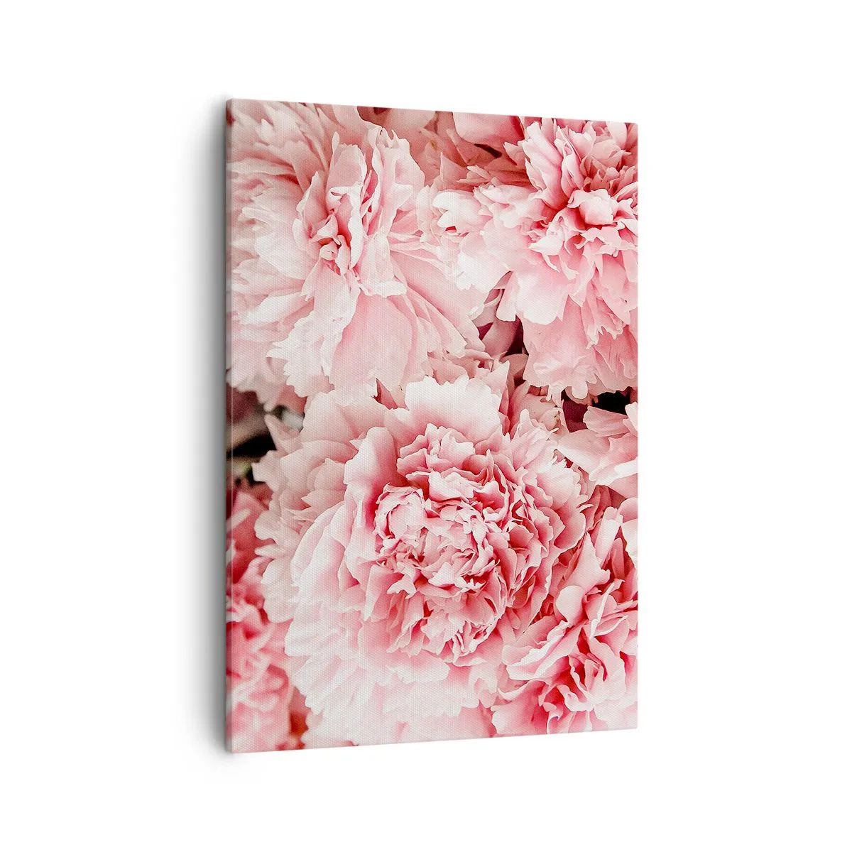 Schilderen op canvas - Roze droom - 50x70 cm