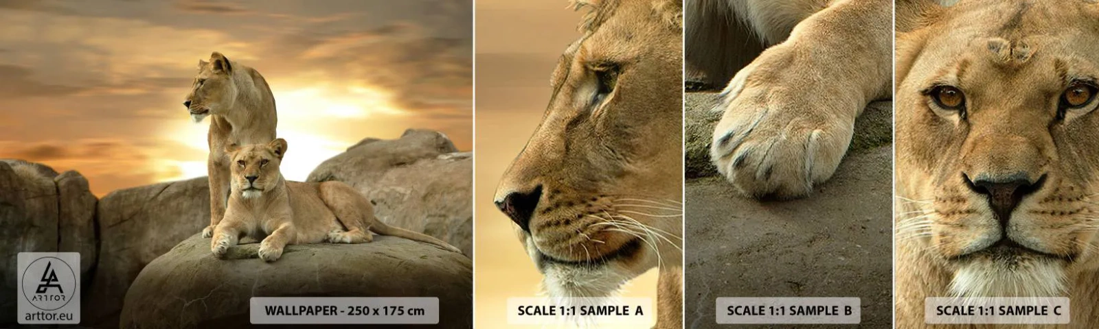 Fotobehang Monster Zelfklevend Deluxe Sticker - Koninklijke majesteit - Dieren, Leeuw, Natuur - 100x30 cm