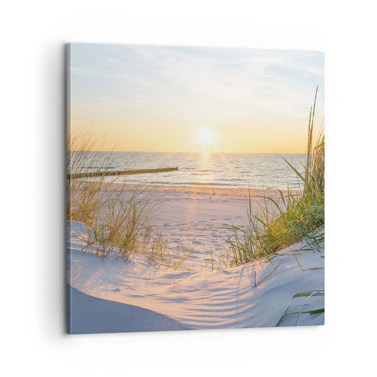 Schilderen op canvas - Het geluid van de zee, het zingen van vogels, een wild strand tussen het gras... - 60x60 cm