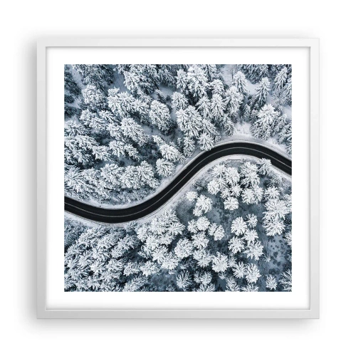 Poster in een witte lijst - Door het winterbos - 50x50 cm