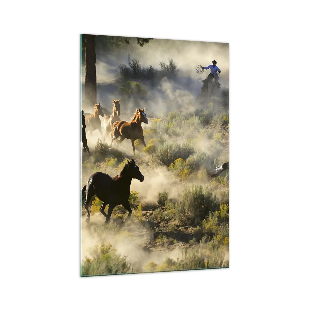 Schilderen op glas - Rivaliteit - vrijheid of mannelijke kracht? - 70x100 cm