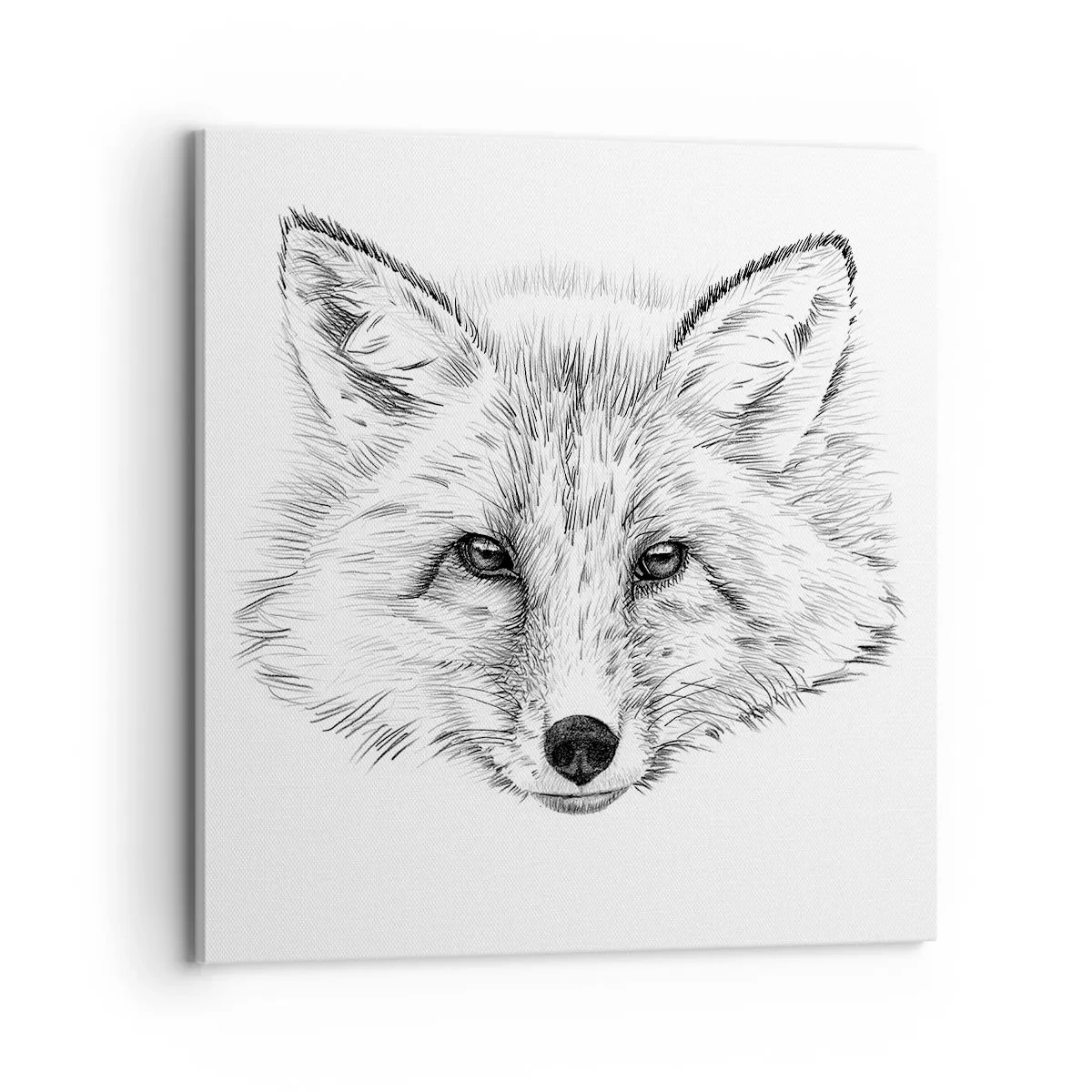 Schilderen op canvas - Kunnen deze ogen liegen? - 70x70 cm
