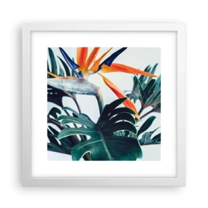 Poster in een witte lijst - Vogelstruik - 30x30 cm