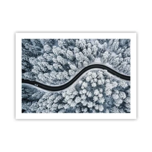 Poster - Door het winterbos - 70x50 cm