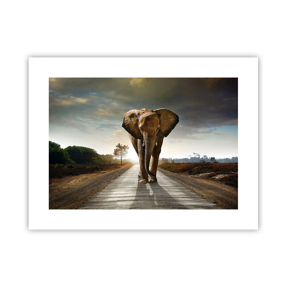 Poster - En helemaal niet in een porseleinen pakhuis - 40x30 cm