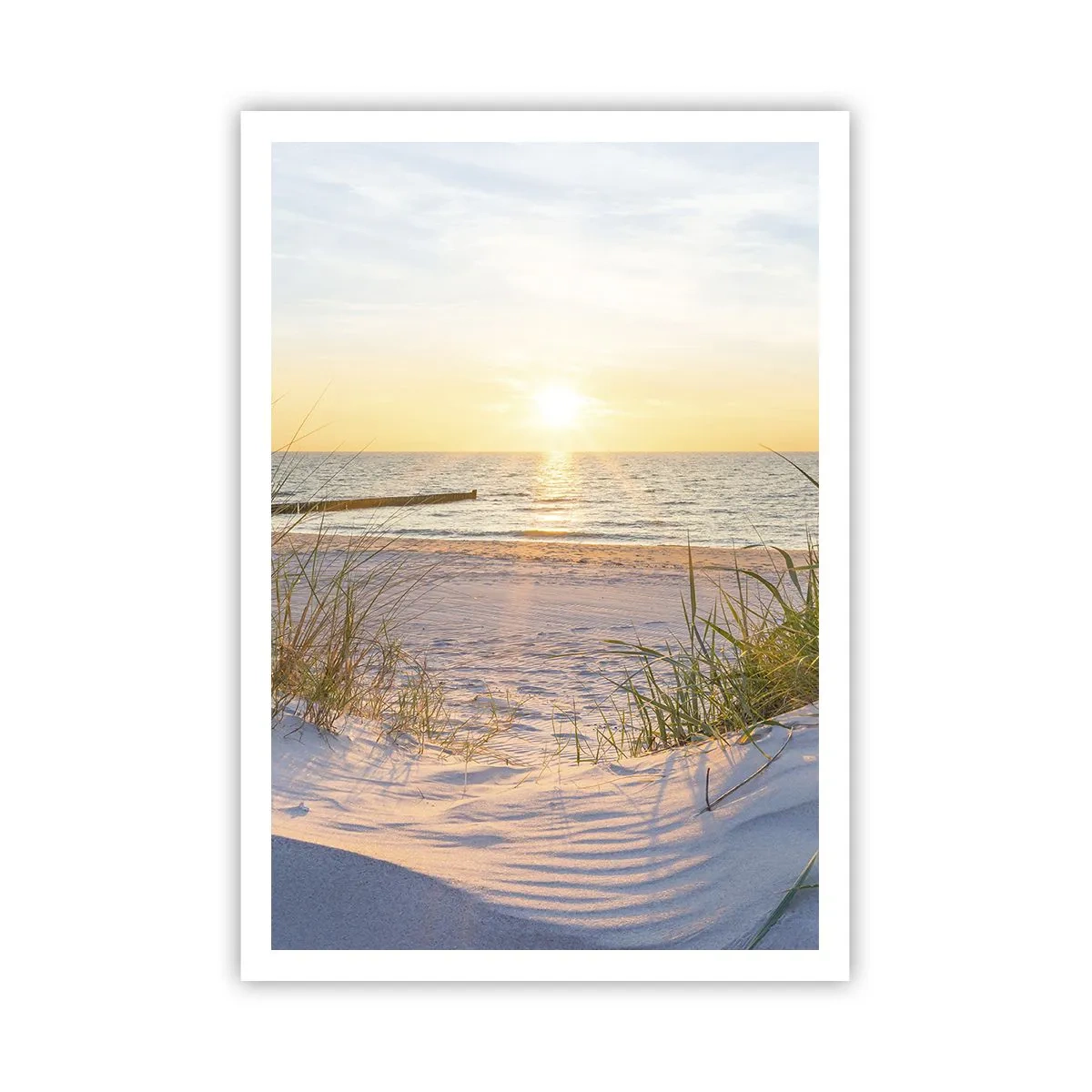 Poster - Het geluid van de zee, het zingen van vogels, een wild strand tussen het gras... - 70x100 cm