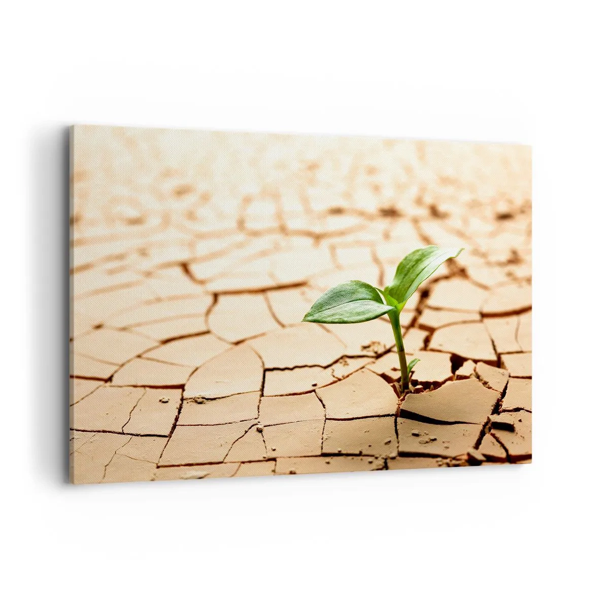 Schilderen op canvas - De ontembare kracht van het leven - 120x80 cm
