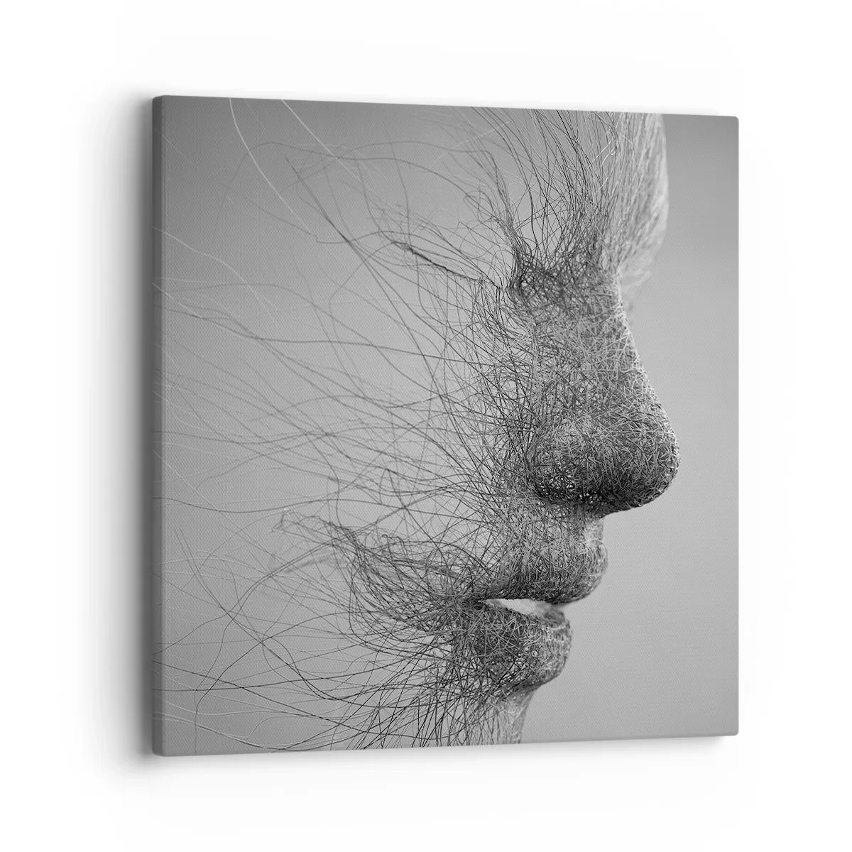 Schilderen op canvas - De geest van de wind - 40x40 cm