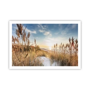 Poster - Noord strand - 91x61 cm