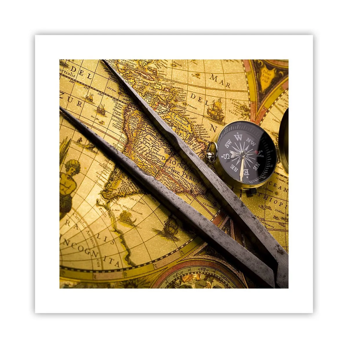 Poster - Waar zijn deze schatten? - 40x40 cm