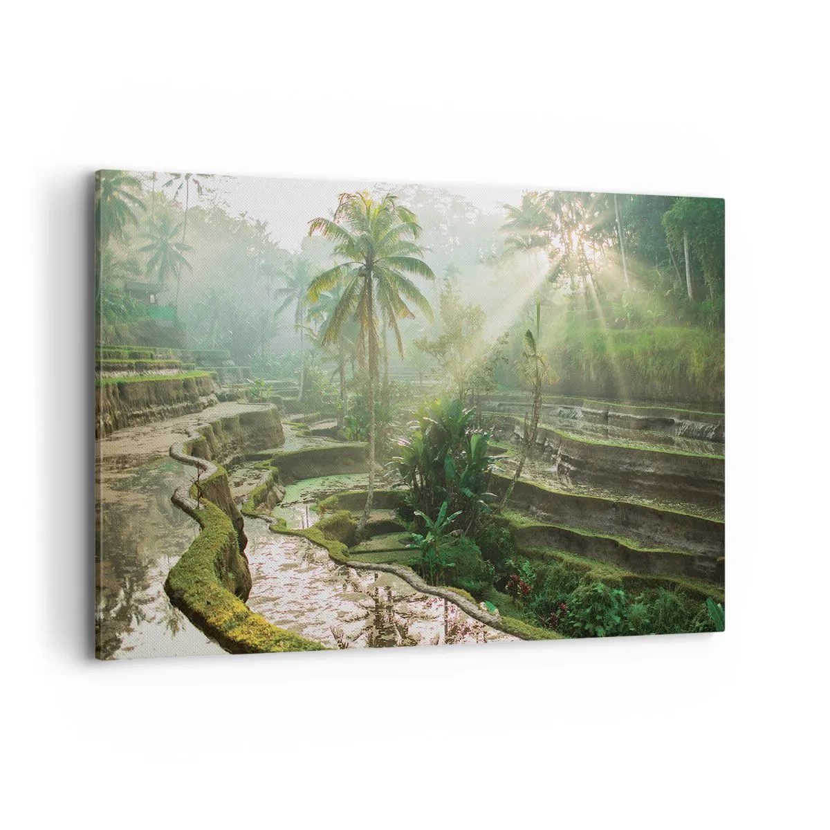 Schilderen op canvas - Opgroeien in de zon - 120x80 cm